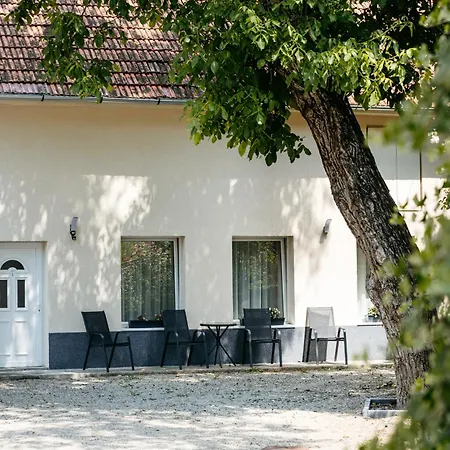 The Muse - Kronstadt Brasov