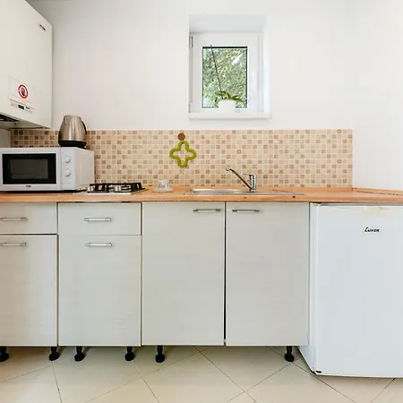 The Muse - Kronstadt