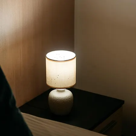 The Muse - Kronstadt Lejlighed Braşov