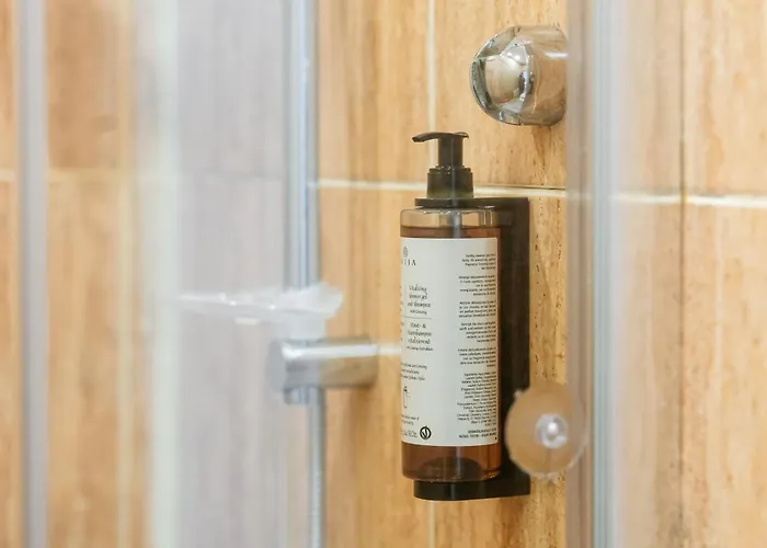 The Muse - Kronstadt Daire Braşov