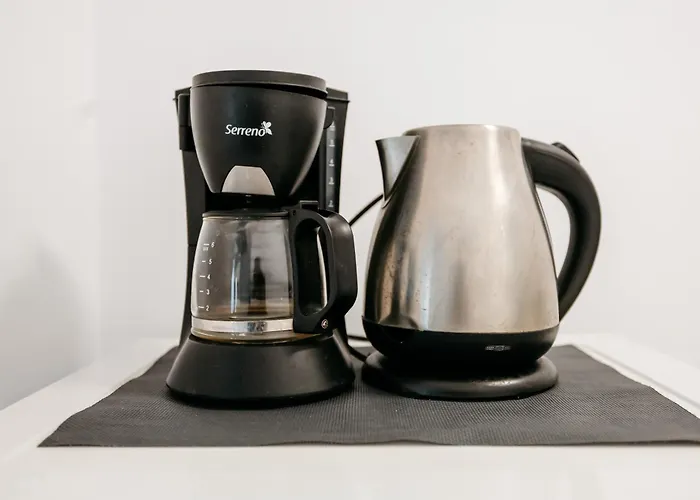 The Muse - Kronstadt * Braşov