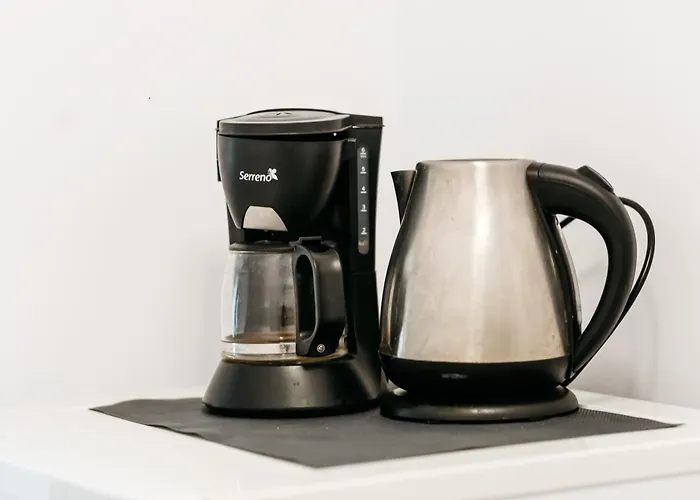 The Muse - Kronstadt