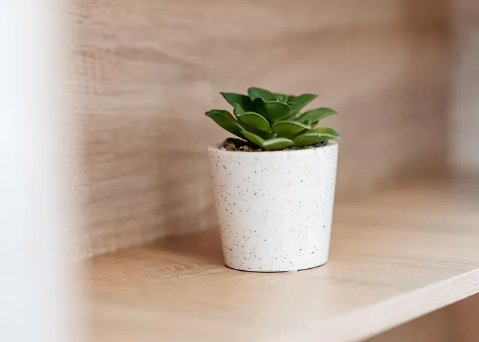 The Muse - Kronstadt Apartamento