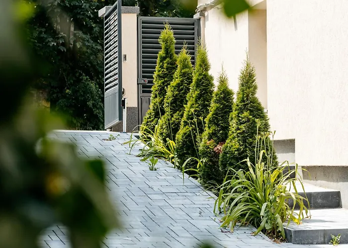 Daire The Muse - Kronstadt