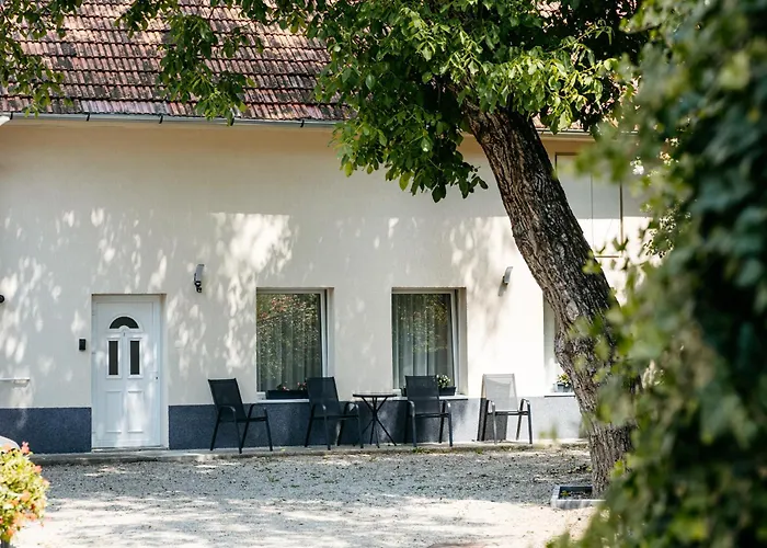 The Muse - Kronstadt Braşov