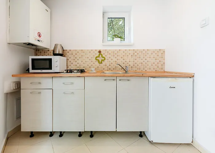 The Muse - Kronstadt