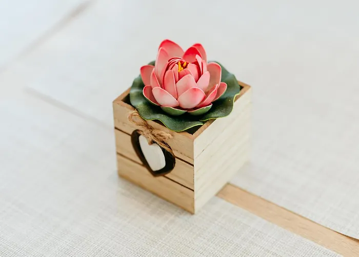 The Muse - Kronstadt * Braşov